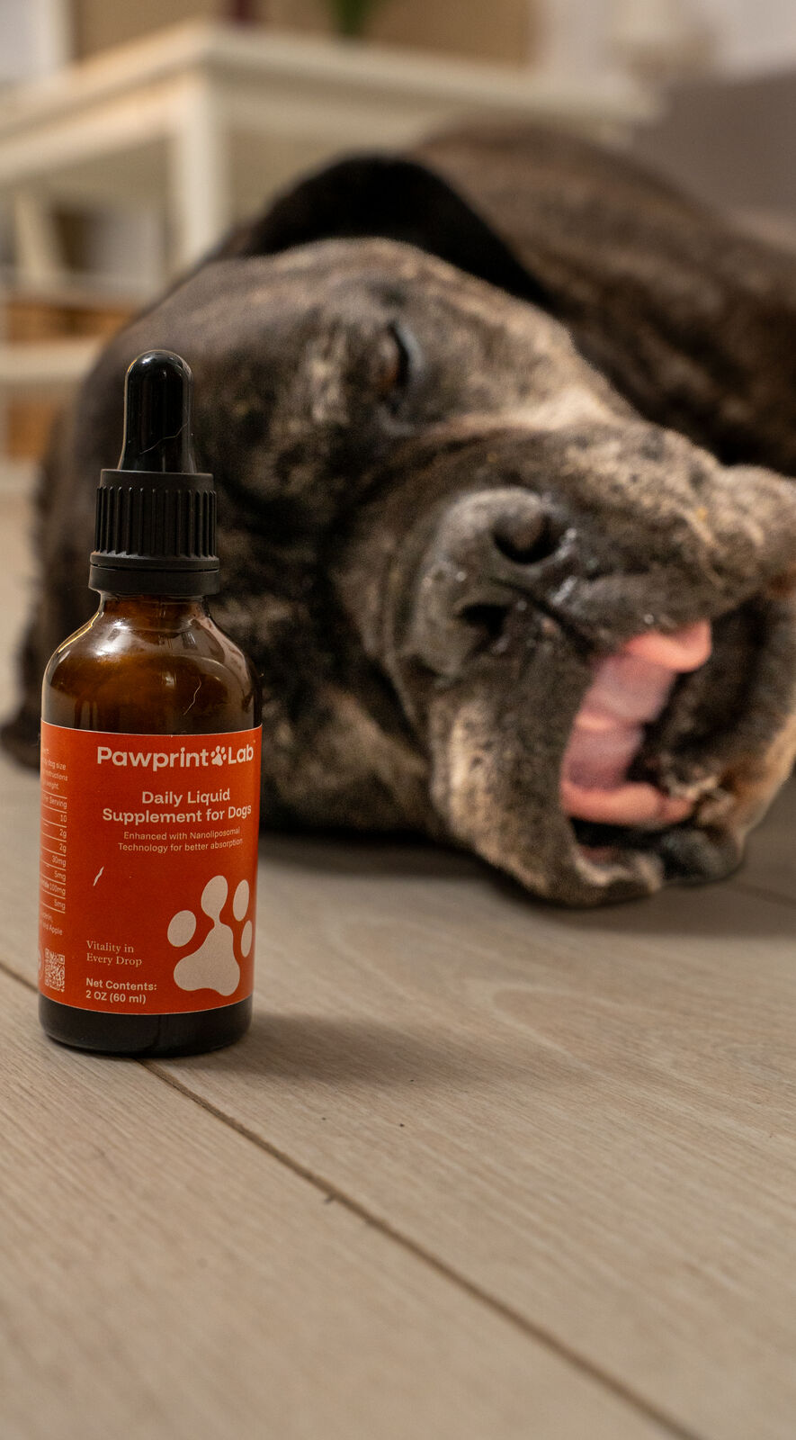 Pawprint Protocol Vet Endorsement 2026 Veterinarian endorsing Pawprint Protocol dog longevity supplement