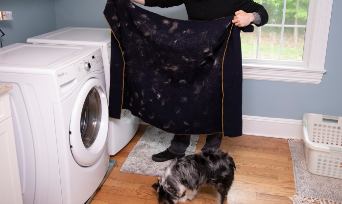 FurZapper Silicone Pet Hair Remover - Material Detail 2026 FurZapper silicone pet hair remover disc close-up showing sticky texture and material quality