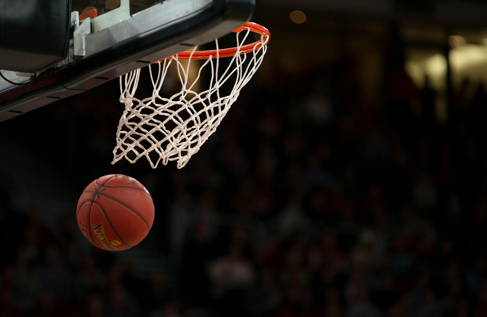 NBA Game Day Essentials: What to Bring to a Game