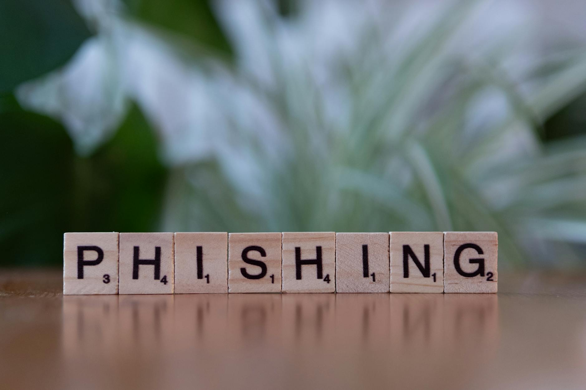 Phishing Attacks Explained: How Scammers Steal Your Identity and What to Do About It