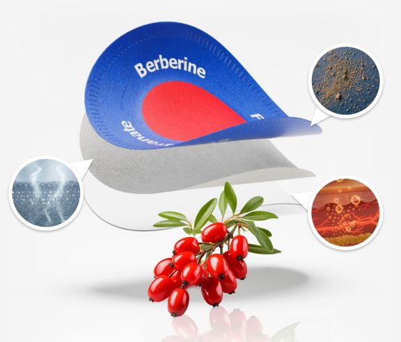 Purisaki Berberine Patch Craving Control 2026 Purisaki berberine patch craving control — illustration showing appetite and sugar craving reduction with transdermal berberine delivery