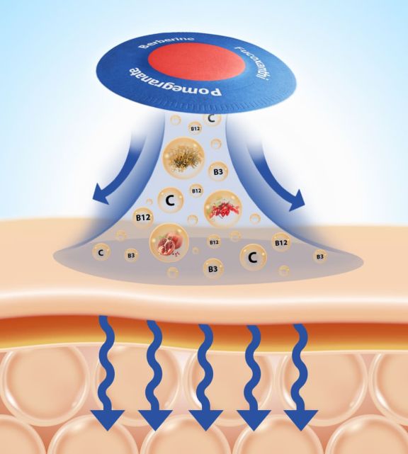 Purisaki Berberine Patch How It Works 2026 Purisaki berberine patch how it works — transdermal delivery mechanism diagram showing BreathFlex comfort layer, ComfyProtect biodegradable outer layer, and berberine kernel release core