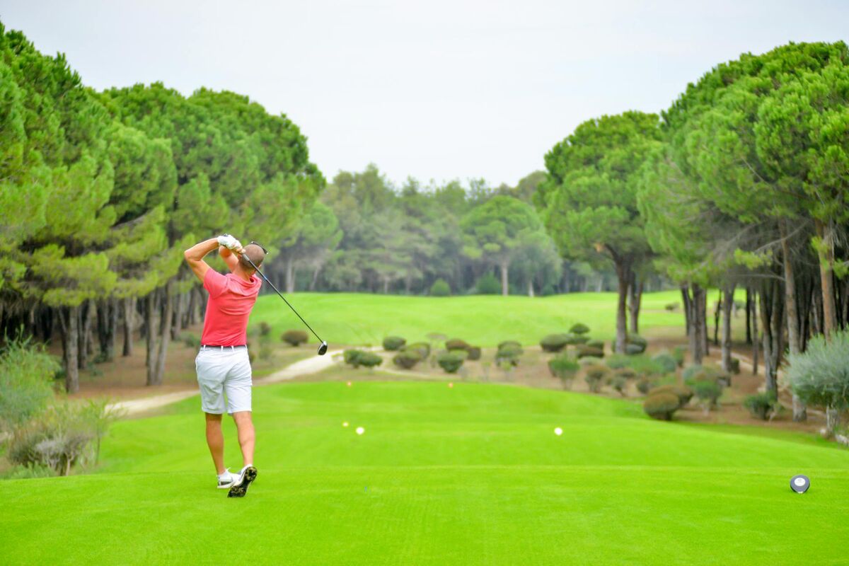 Golf Swing Mechanics and Distance Loss With Age Golfer executing a full swing on a green golf course